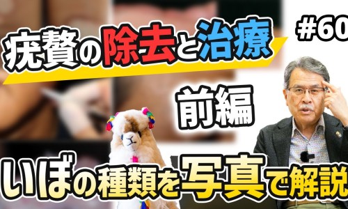 吃中药出血了正常吗专区_吃中药出血脚冰专区_吃中药 出血网