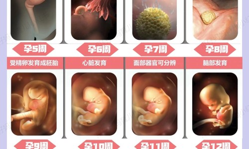 吃中药出血了正常吗专区_吃中药出血脚冰专区_吃中药 出血网